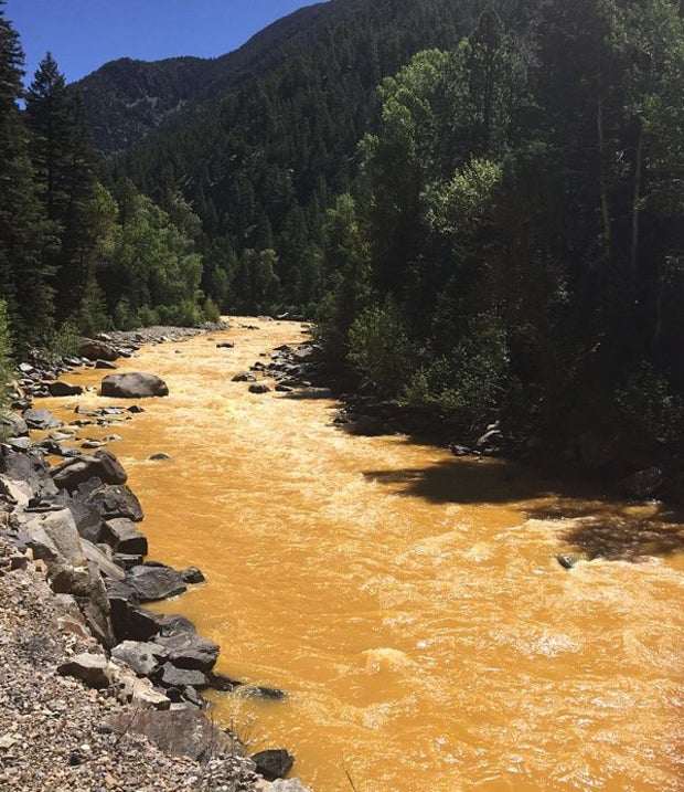 The Animas River south of Silverton, post-EPA spill. Note: this is not the rivers typical color. Photo: National Geographic, August 14, 2015.